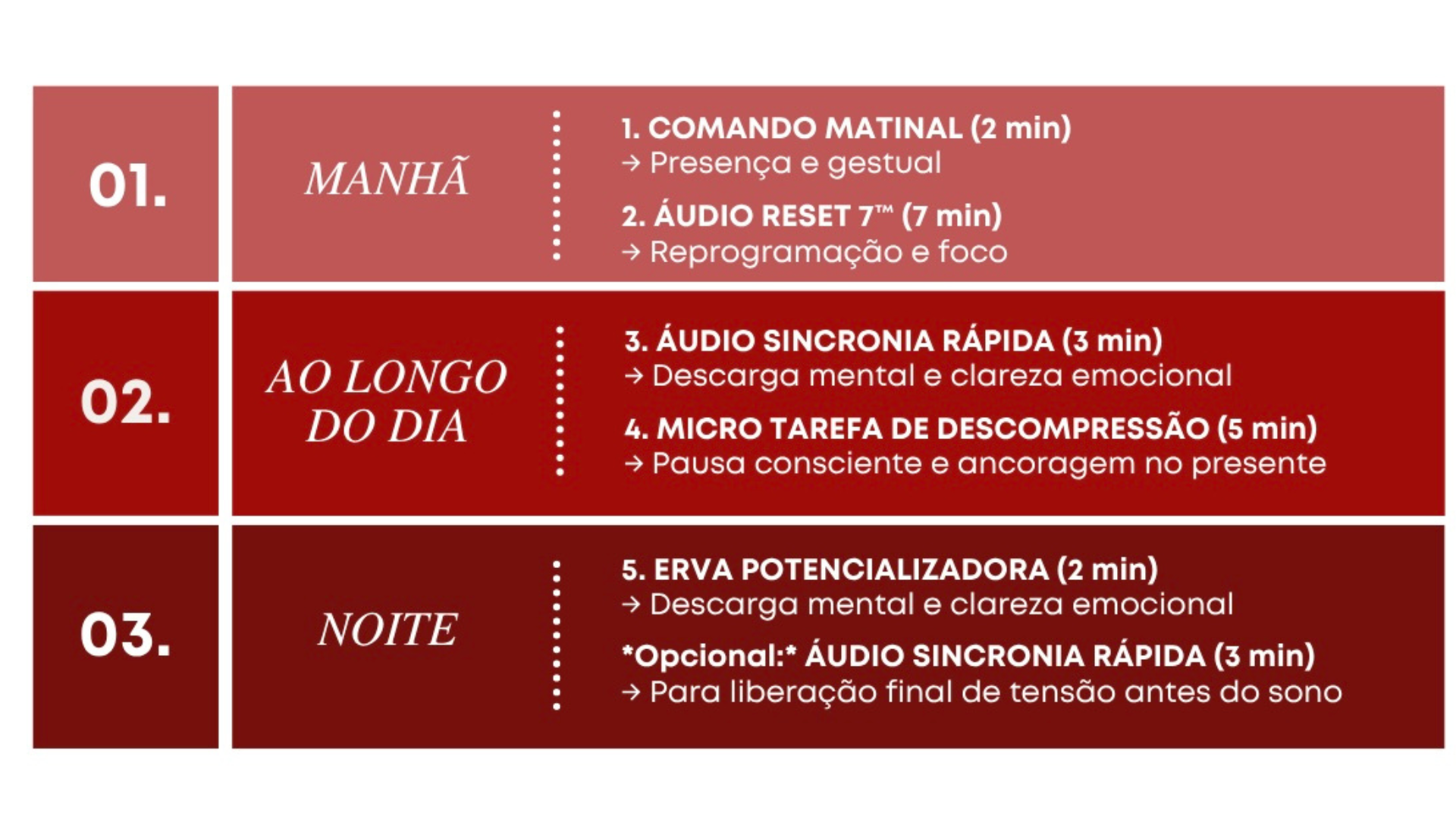 <strong>A ESTRUTURA</strong>